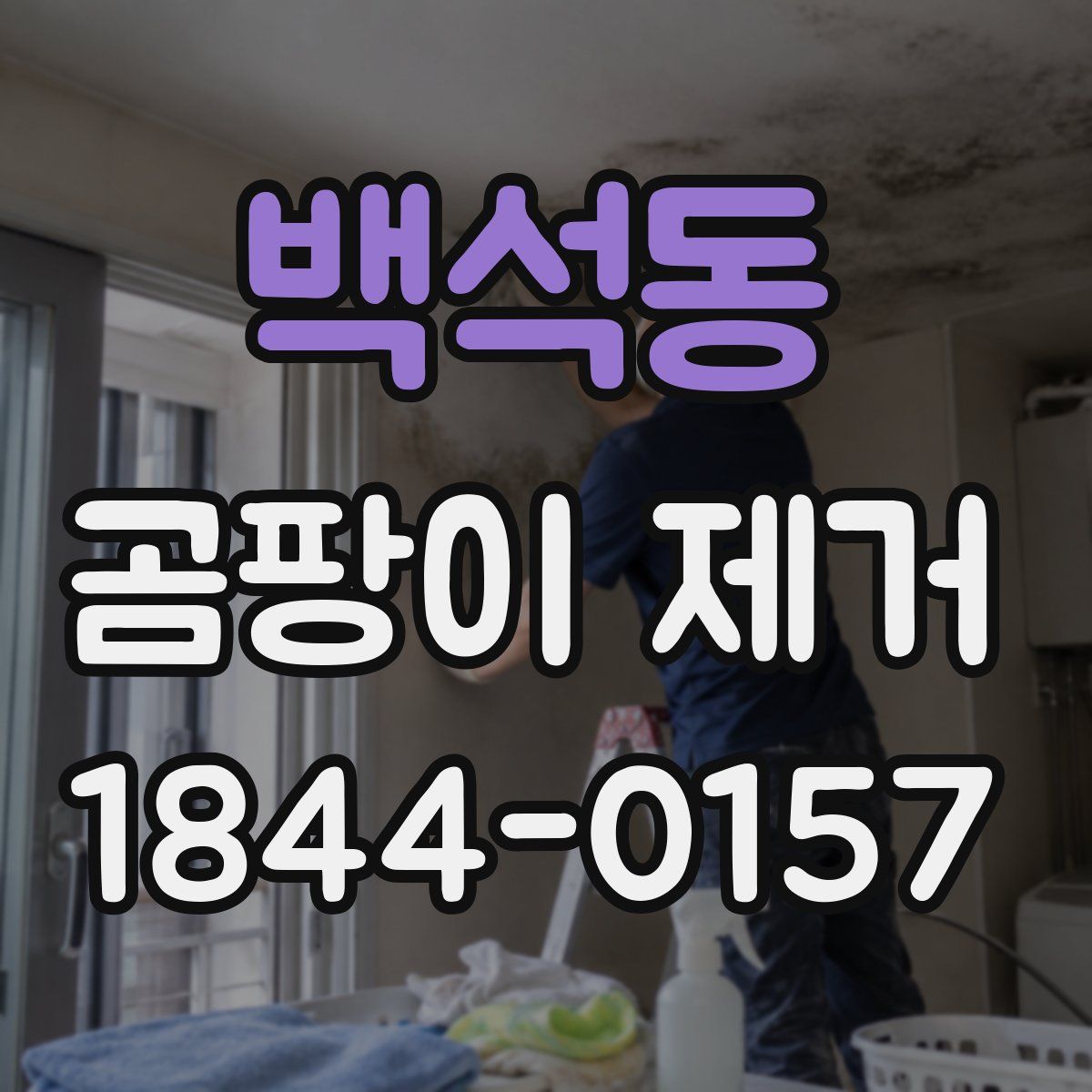 백석동 곰팡이 제거