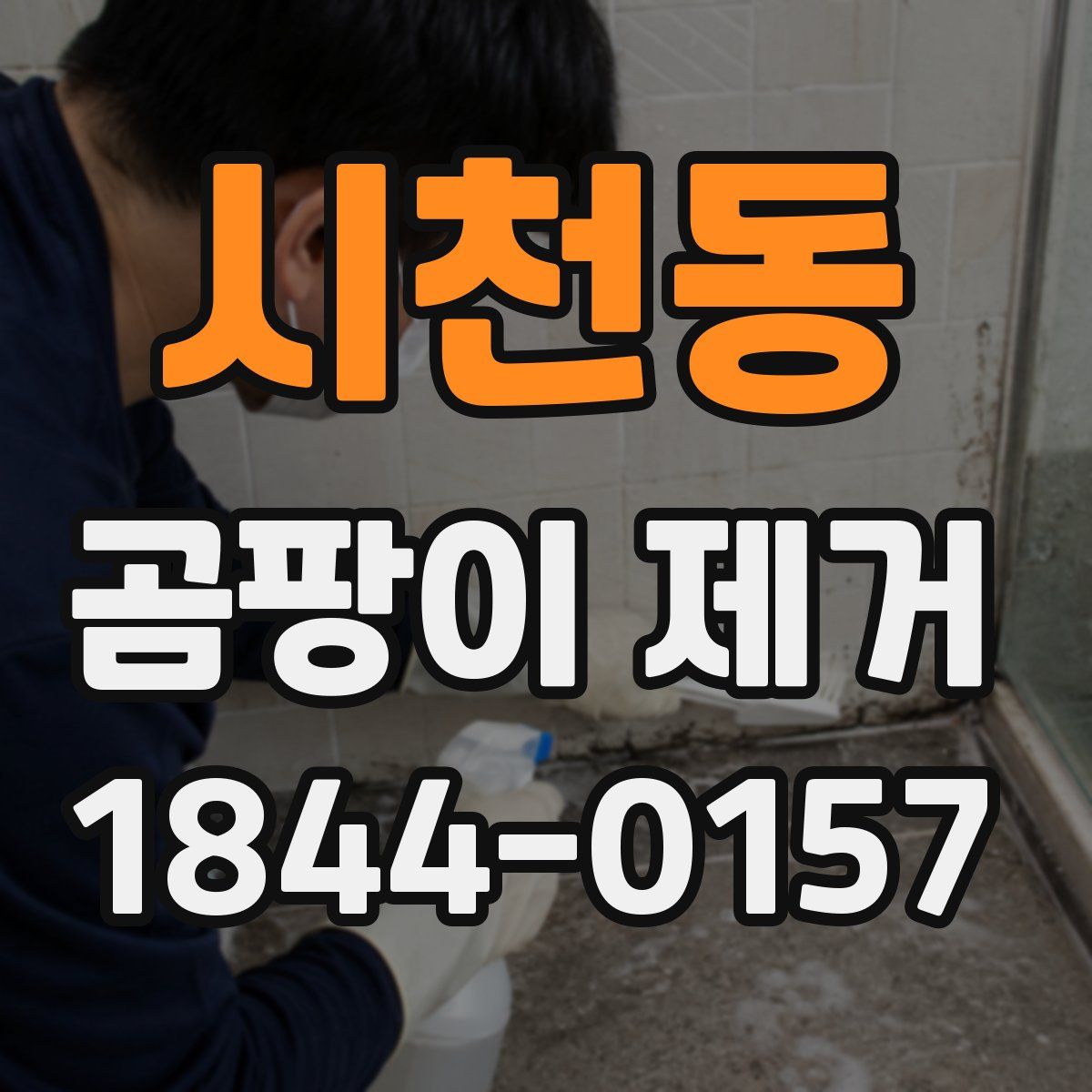 시천동 곰팡이 제거