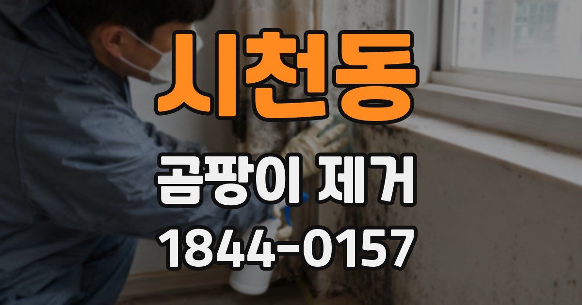 시천동 곰팡이 제거