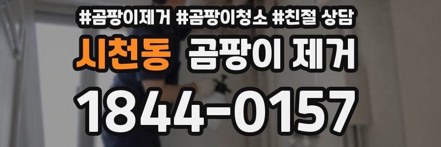 시천동 곰팡이 제거