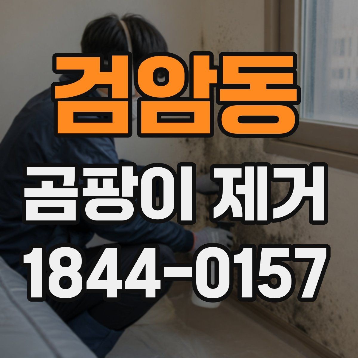 검암동 곰팡이 제거 청소 후 냄새까지 줄이는 방법