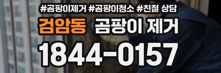 검암동 곰팡이 제거