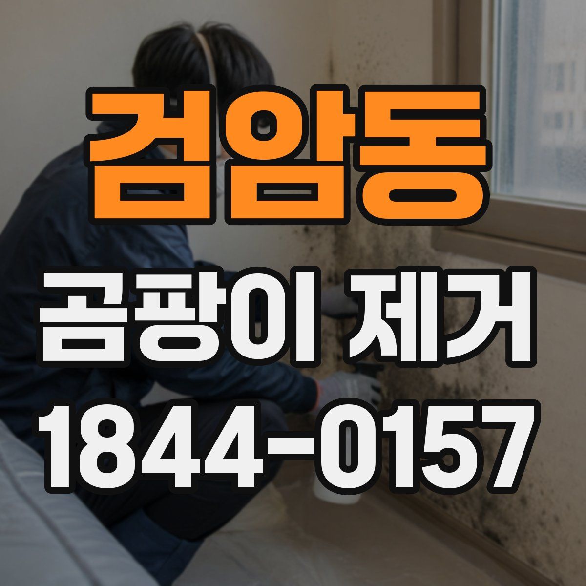 검암동 곰팡이 제거