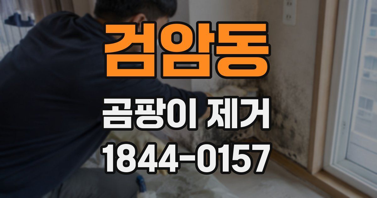 검암동 곰팡이 제거
