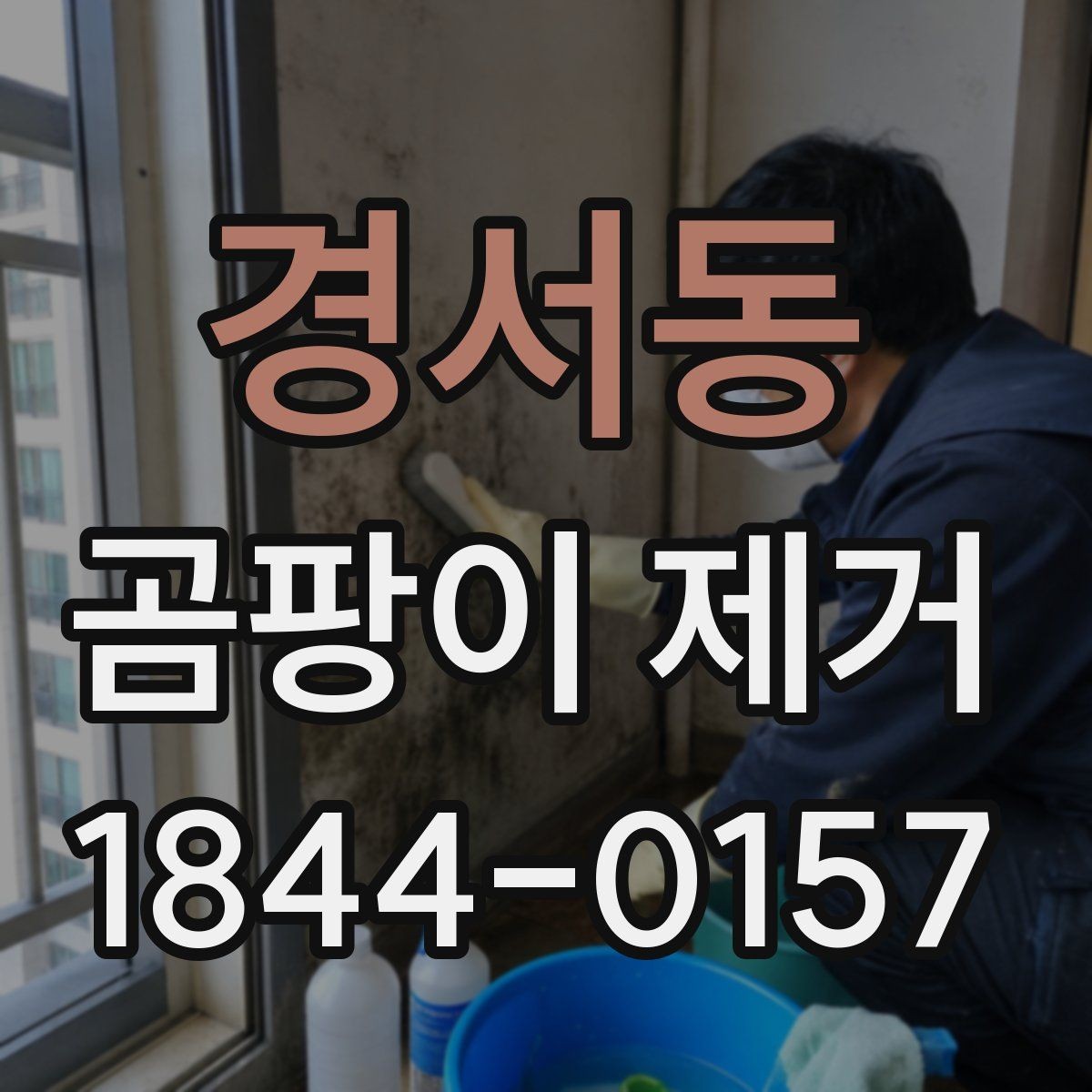 경서동 곰팡이 제거 전후로 달라지는 실내 관리법