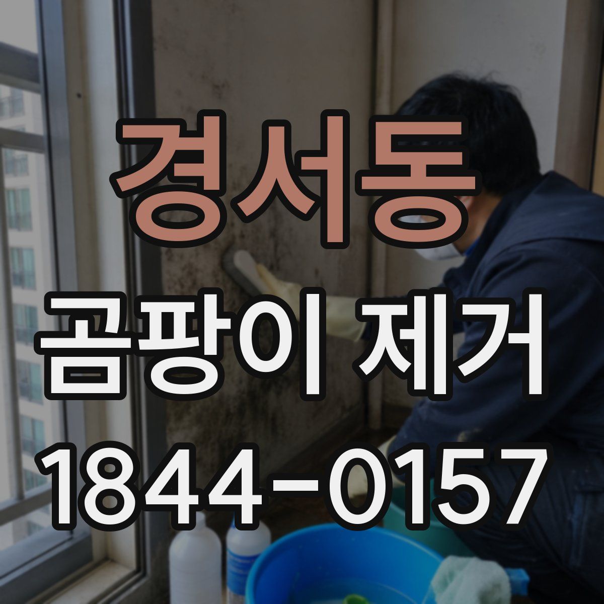 경서동 곰팡이 제거