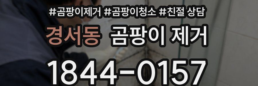 경서동 곰팡이 제거