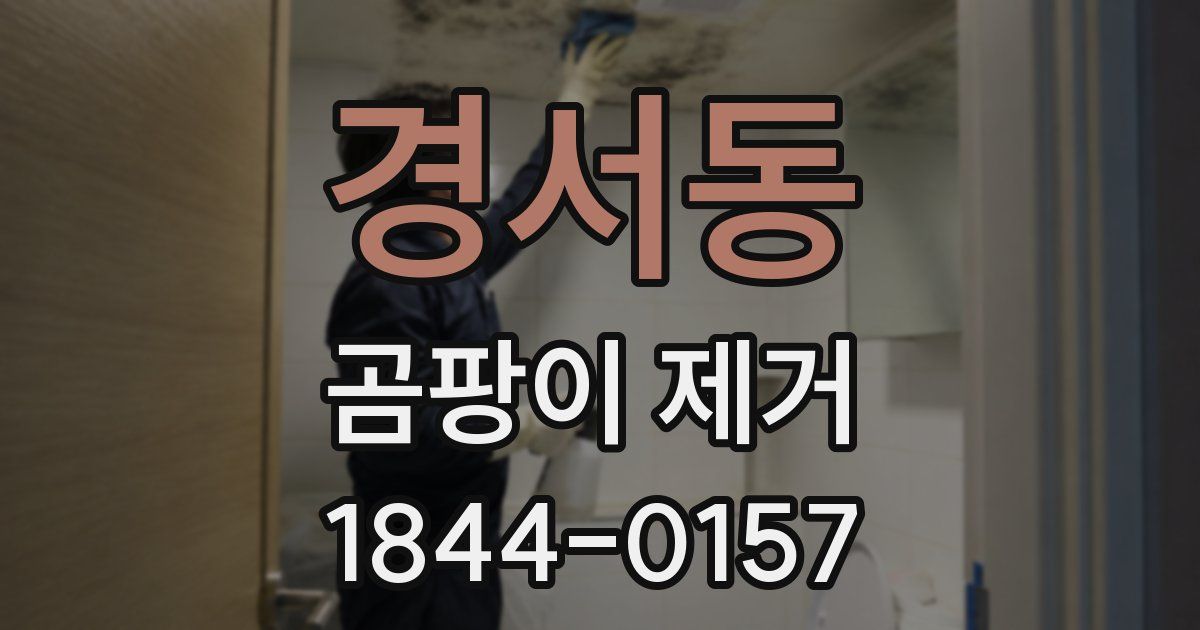 경서동 곰팡이 제거