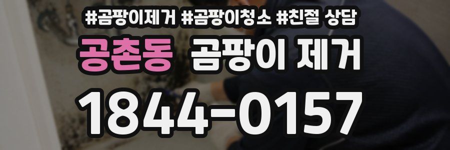 공촌동 곰팡이 제거