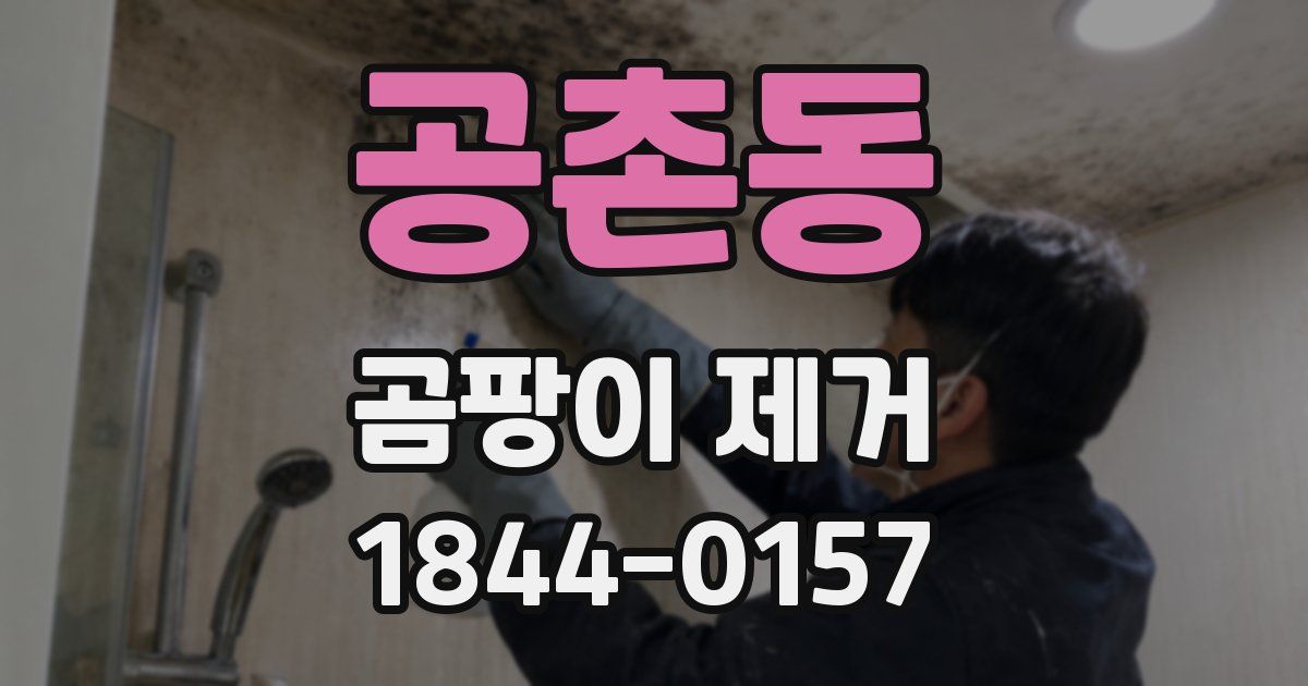 공촌동 곰팡이 제거
