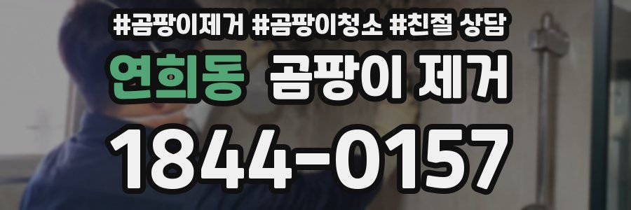 연희동 곰팡이 제거
