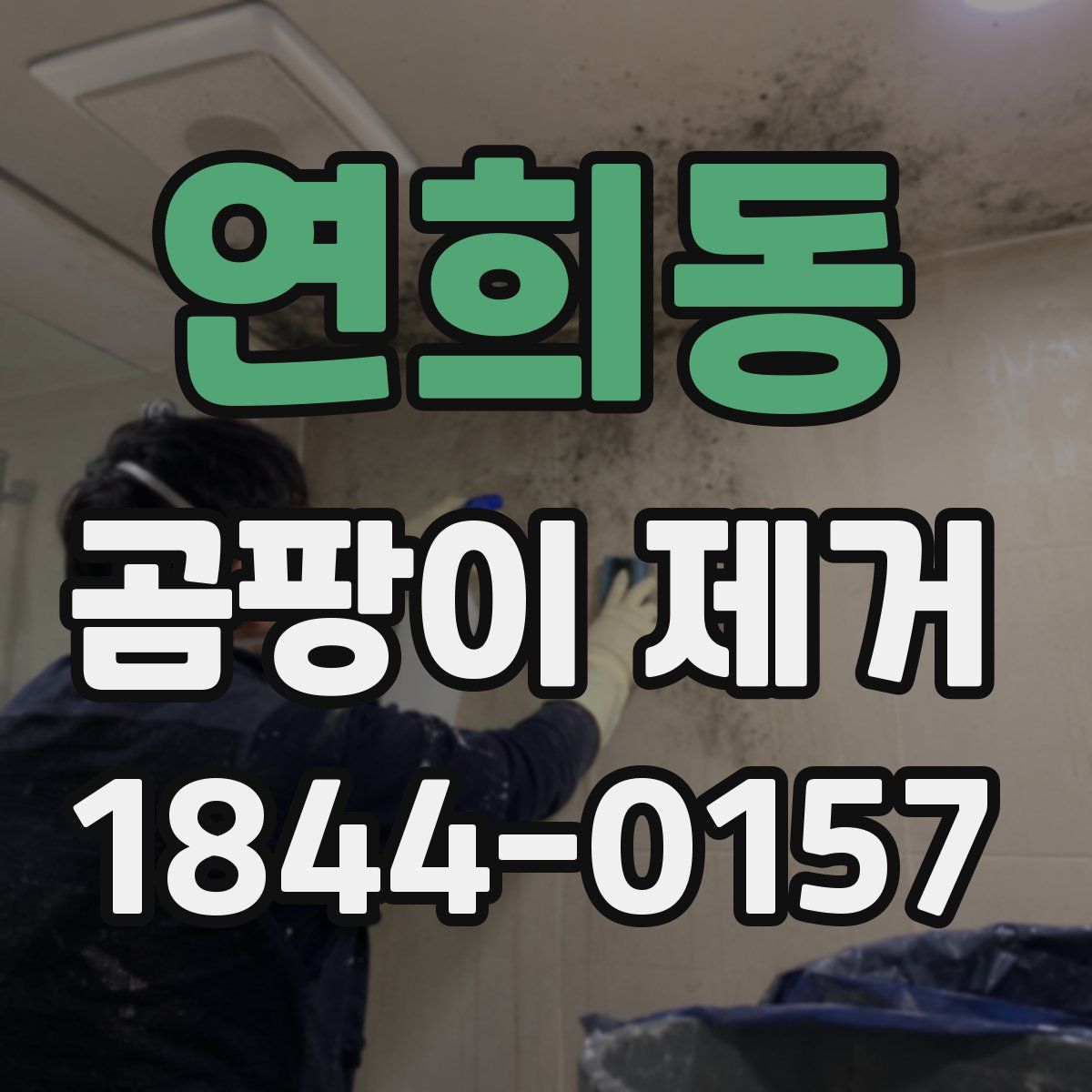 연희동 곰팡이 제거