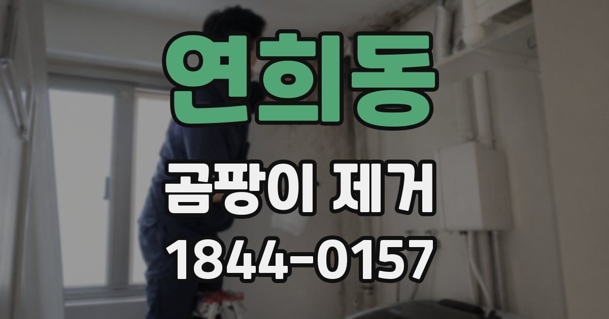연희동 곰팡이 제거