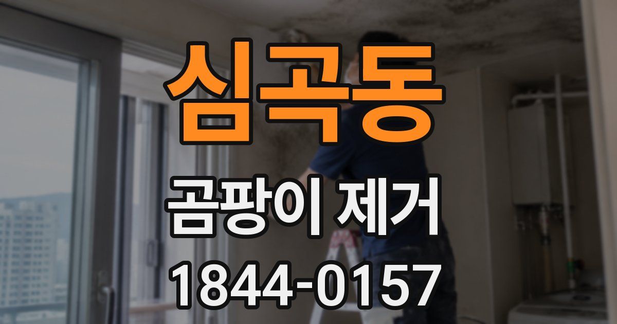심곡동 곰팡이 제거