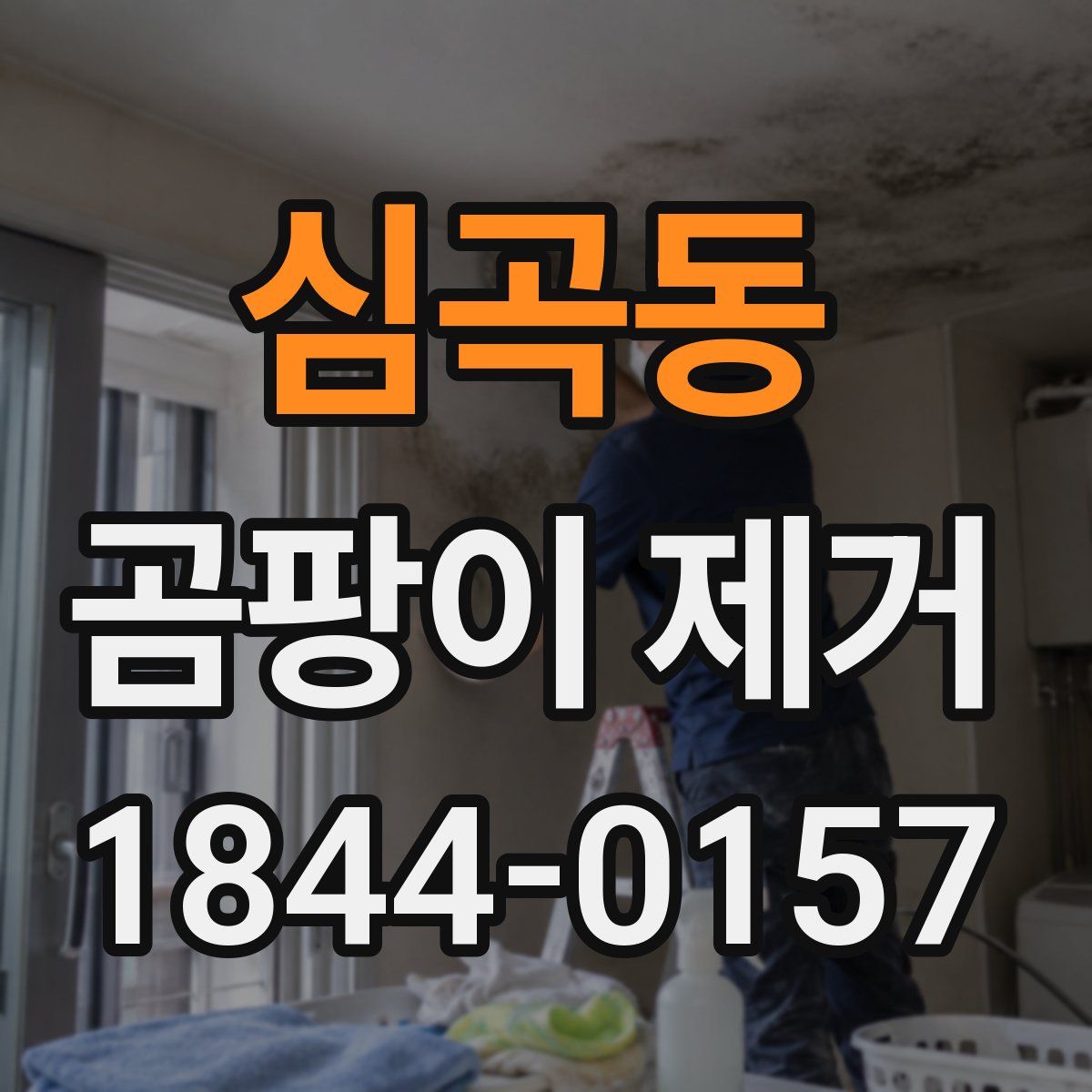 심곡동 곰팡이 제거