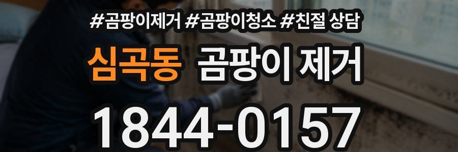 심곡동 곰팡이 제거