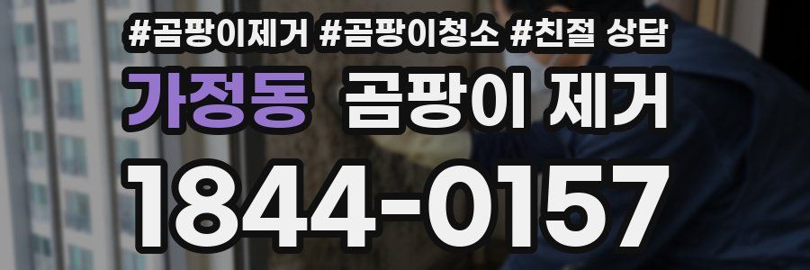가정동 곰팡이 제거