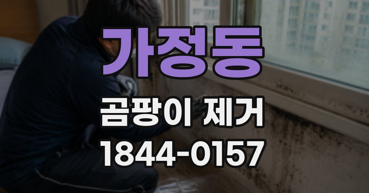가정동 곰팡이 제거