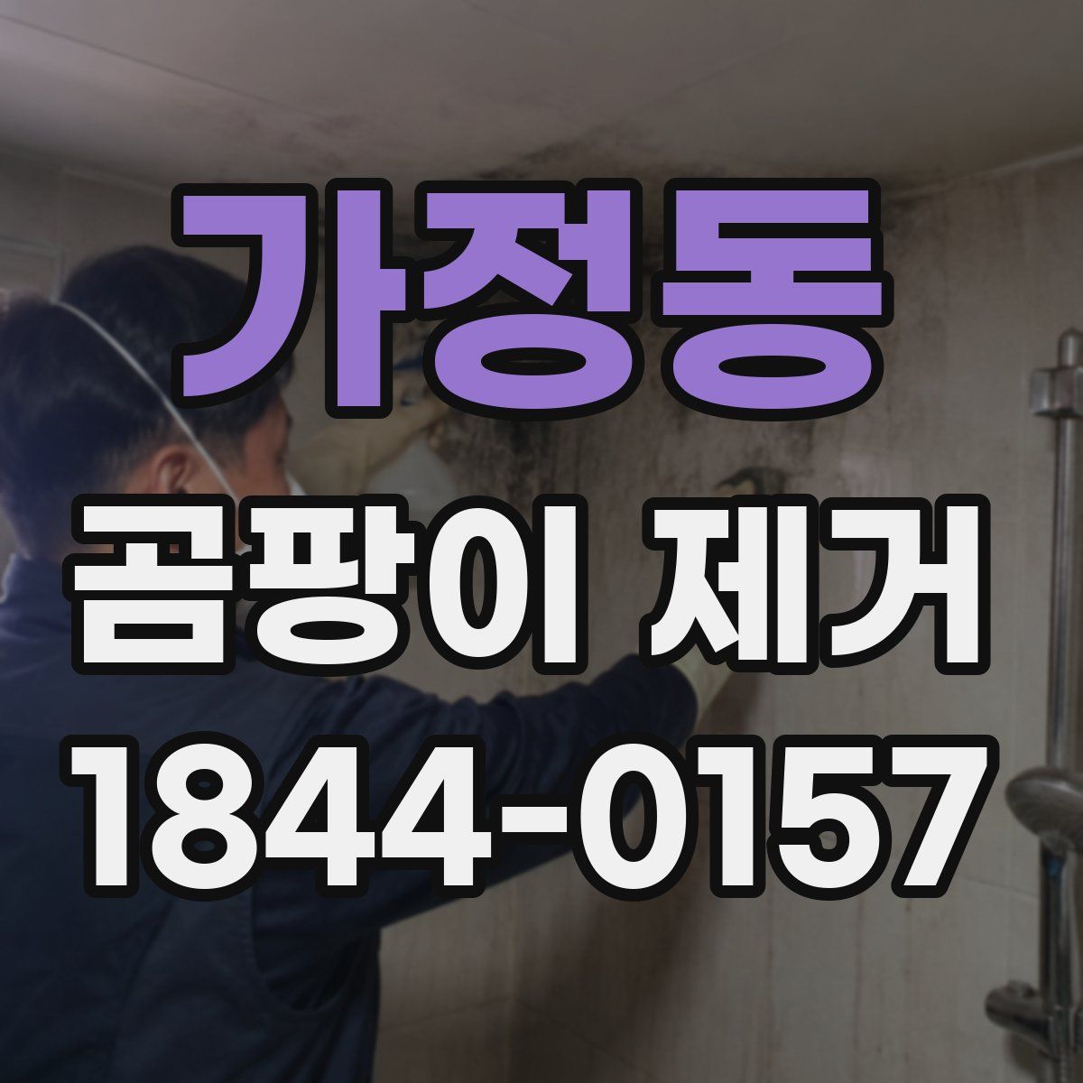 가정동 곰팡이 제거