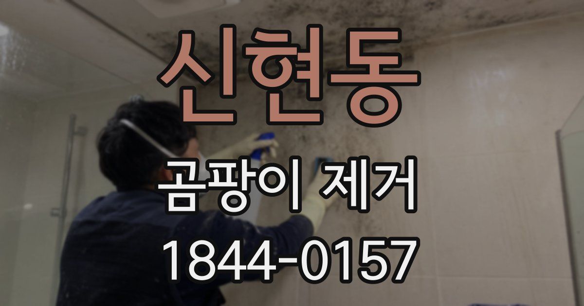 신현동 곰팡이 제거