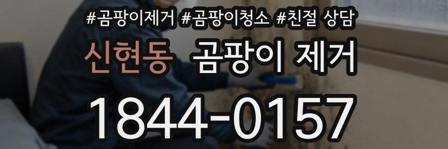 신현동 곰팡이 제거