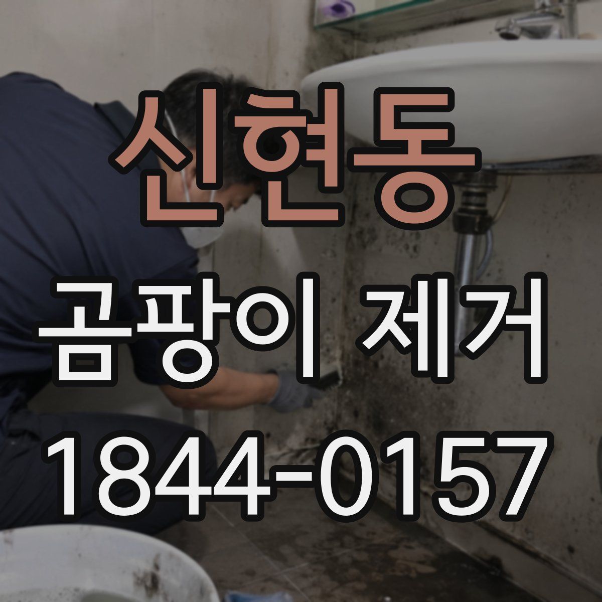 신현동 곰팡이 제거