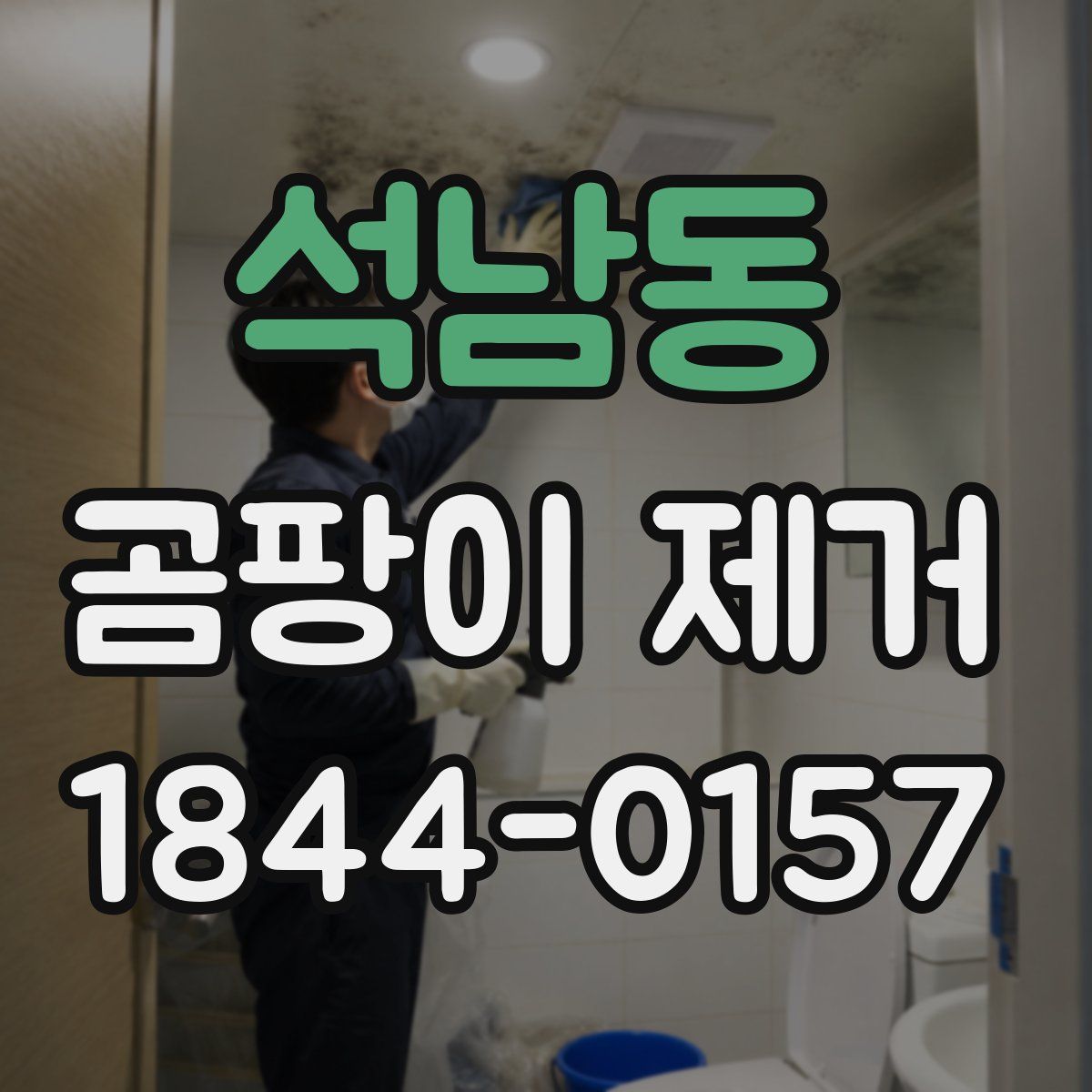 석남동 곰팡이 제거