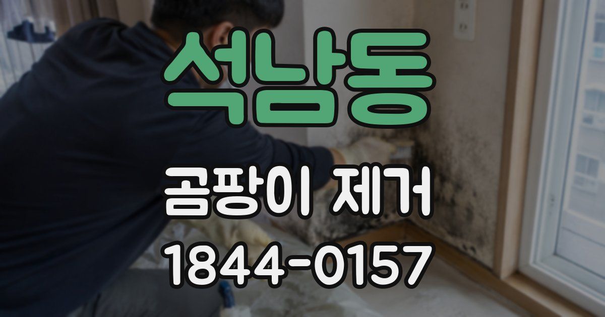 석남동 곰팡이 제거