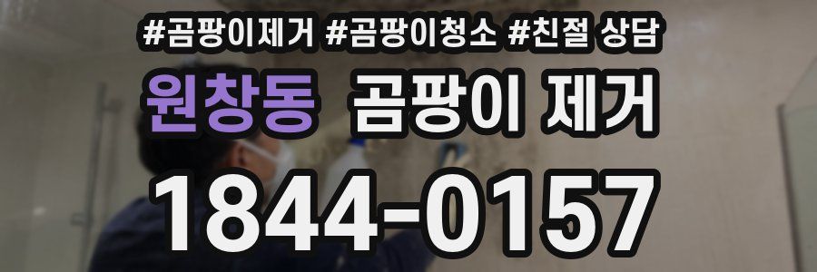 원창동 곰팡이 제거