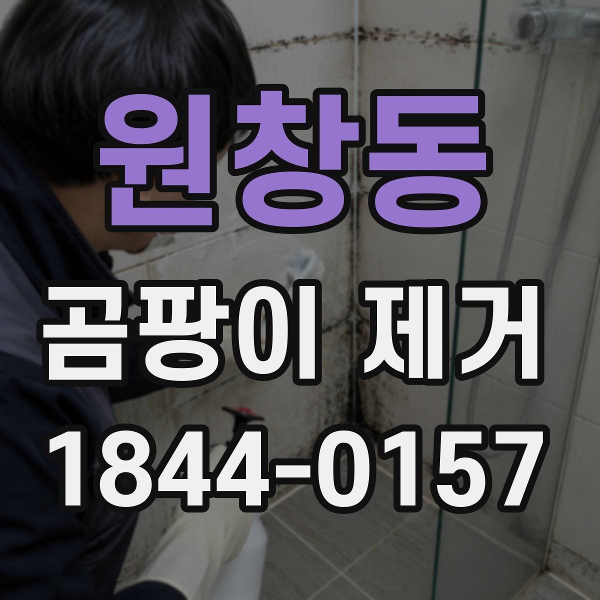 원창동 곰팡이 제거