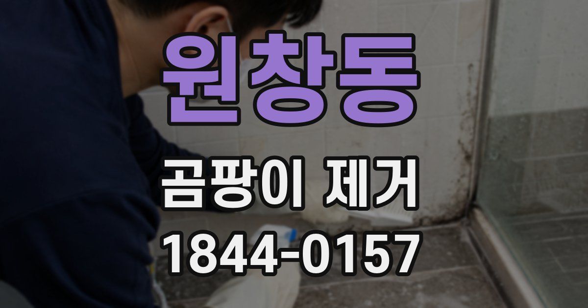 원창동 곰팡이 제거