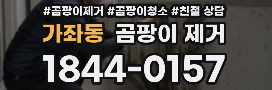 가좌동 곰팡이 제거