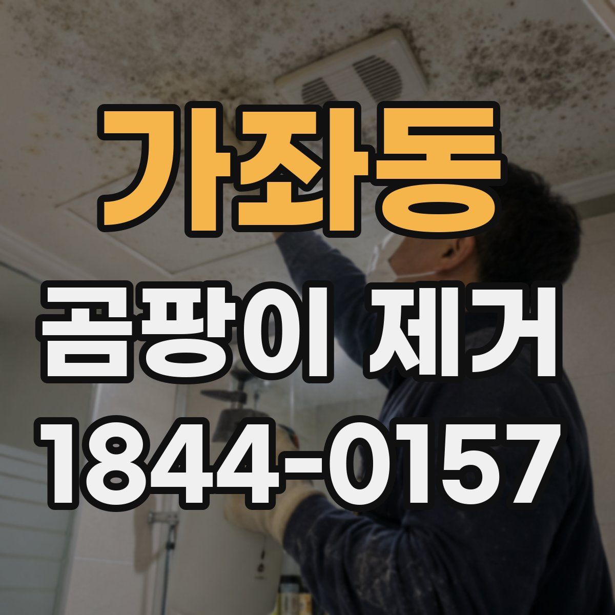 가좌동 곰팡이 제거
