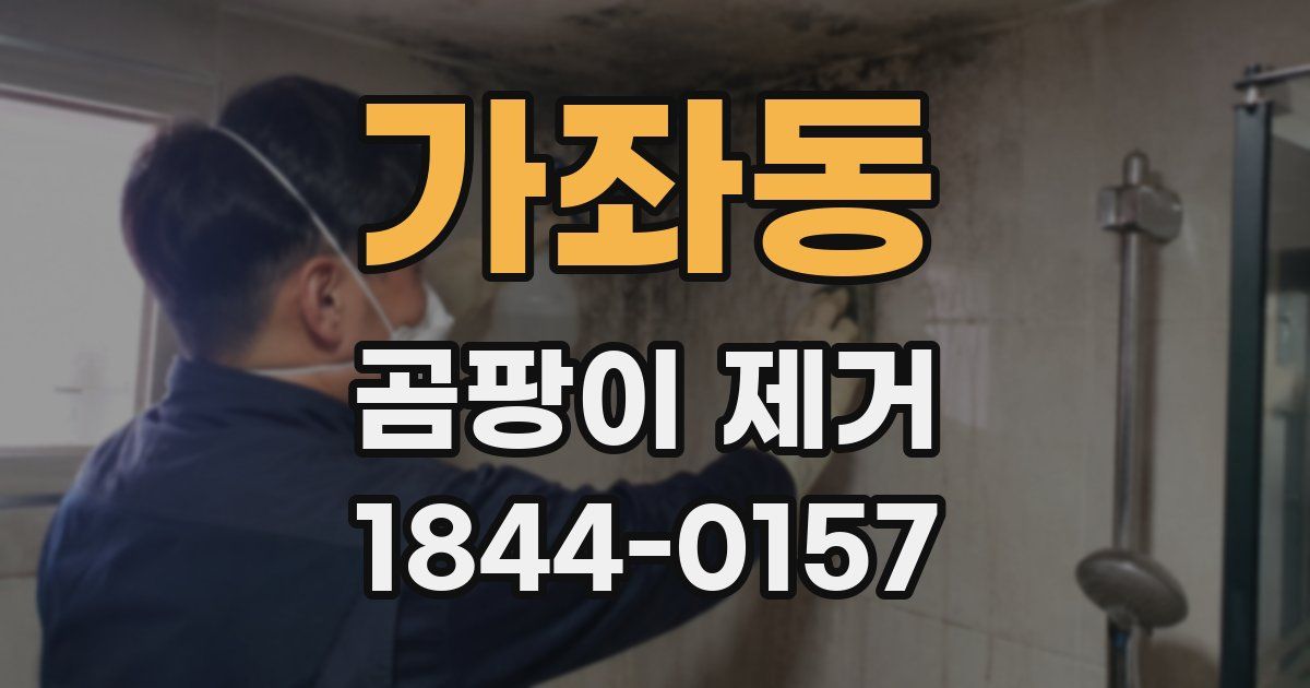 가좌동 곰팡이 제거