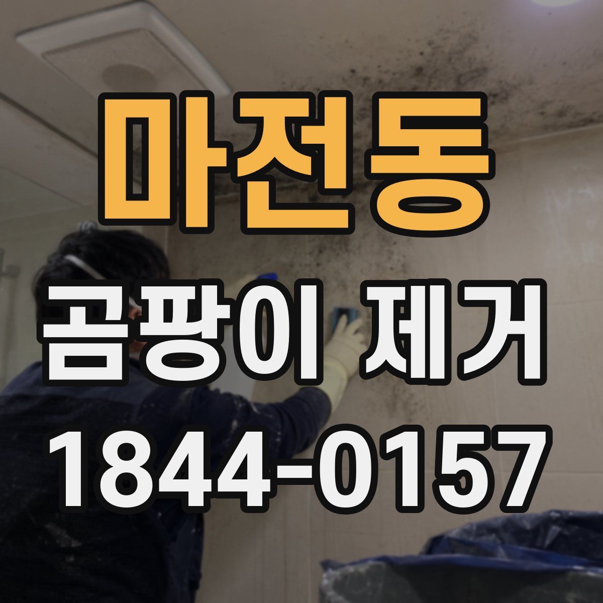마전동 곰팡이 제거