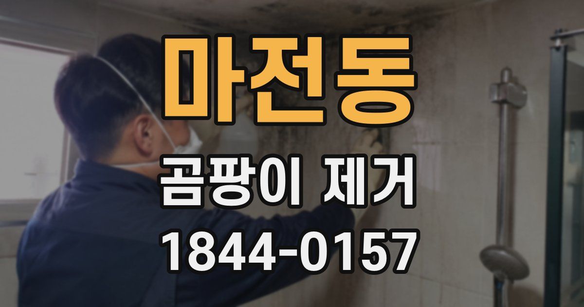 마전동 곰팡이 제거