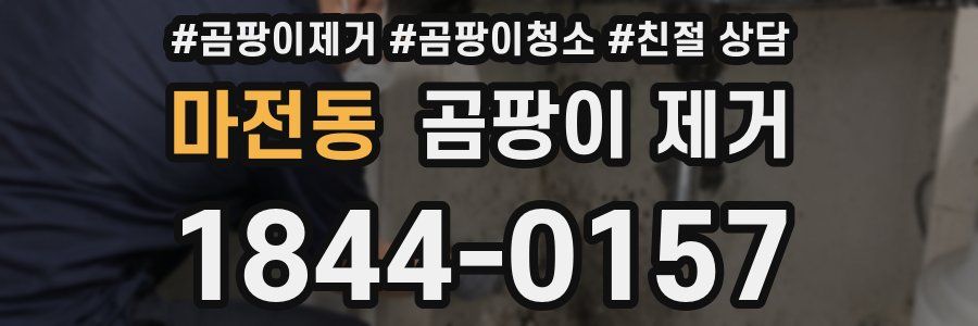 마전동 곰팡이 제거