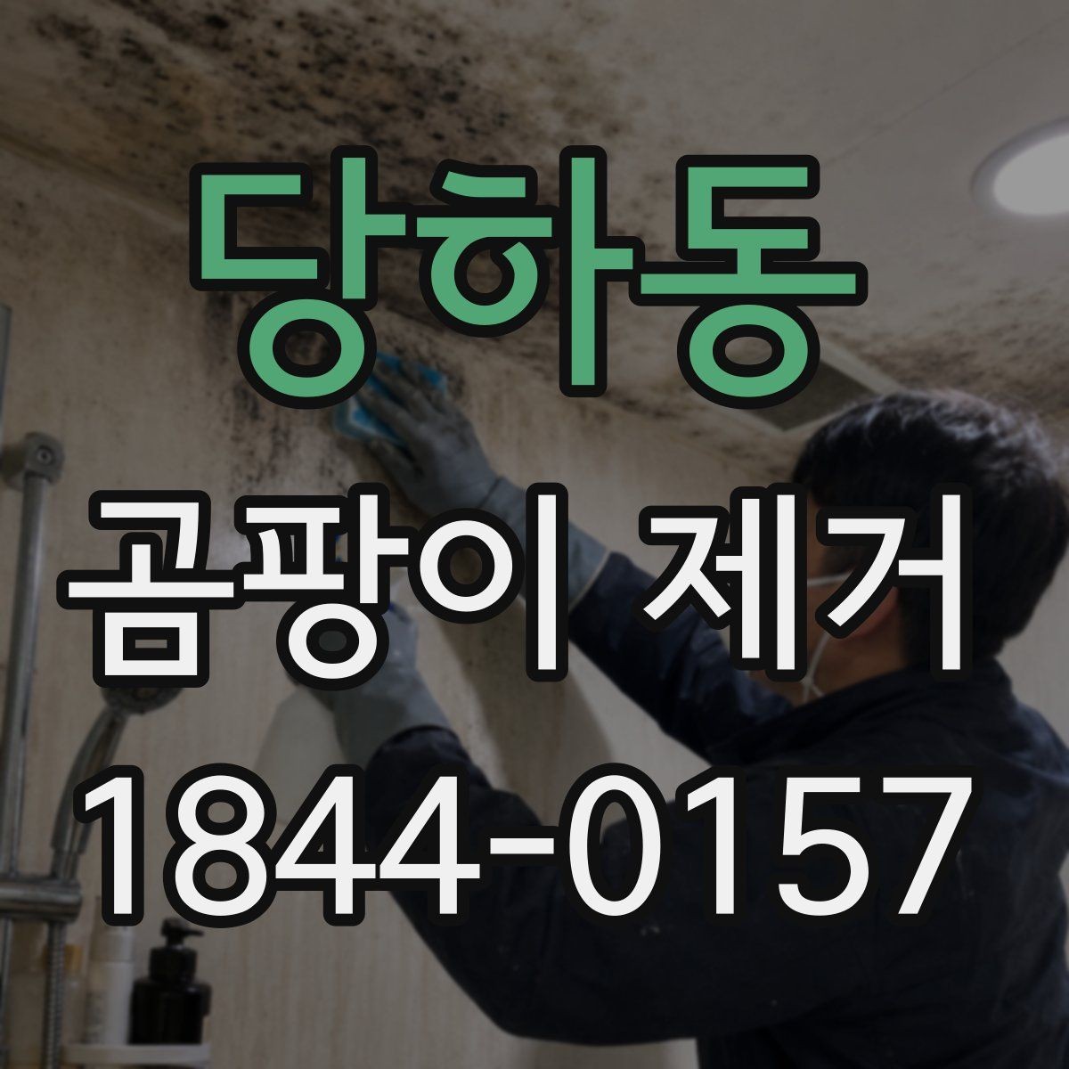 당하동 곰팡이 제거 비용과 작업 범위 살펴보기