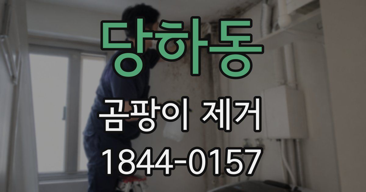 당하동 곰팡이 제거