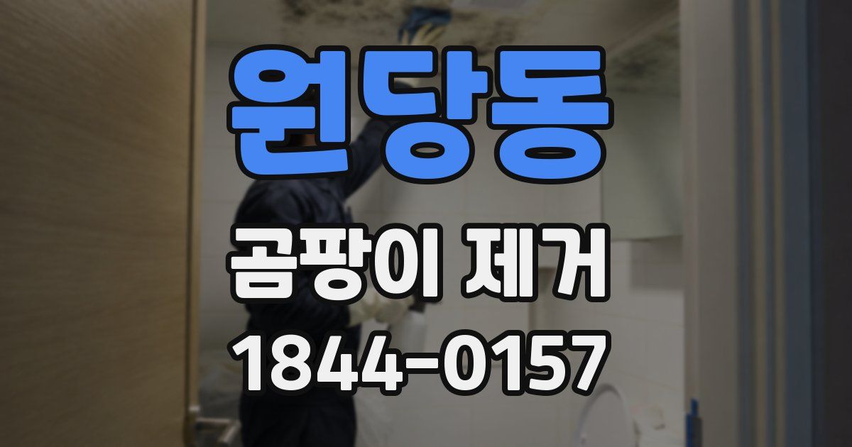 원당동 곰팡이 제거