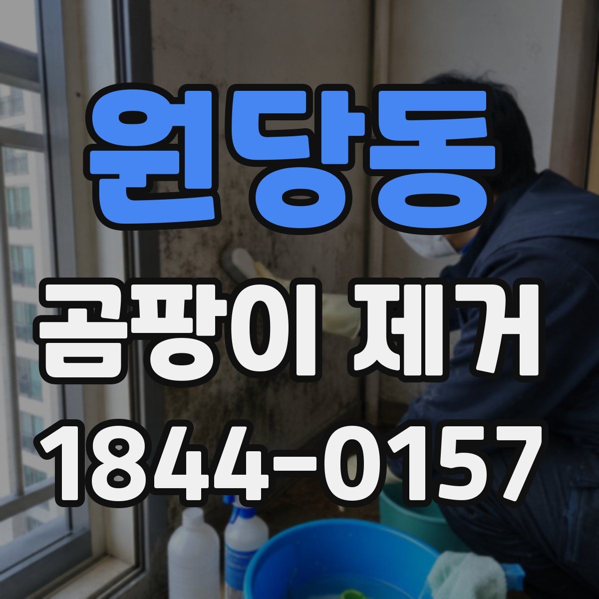 원당동 곰팡이 제거