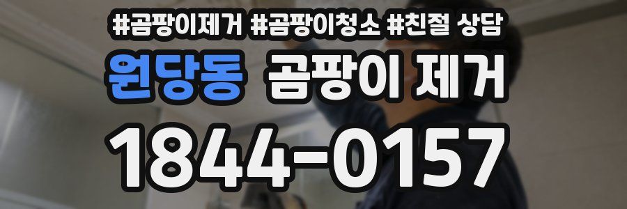 원당동 곰팡이 제거