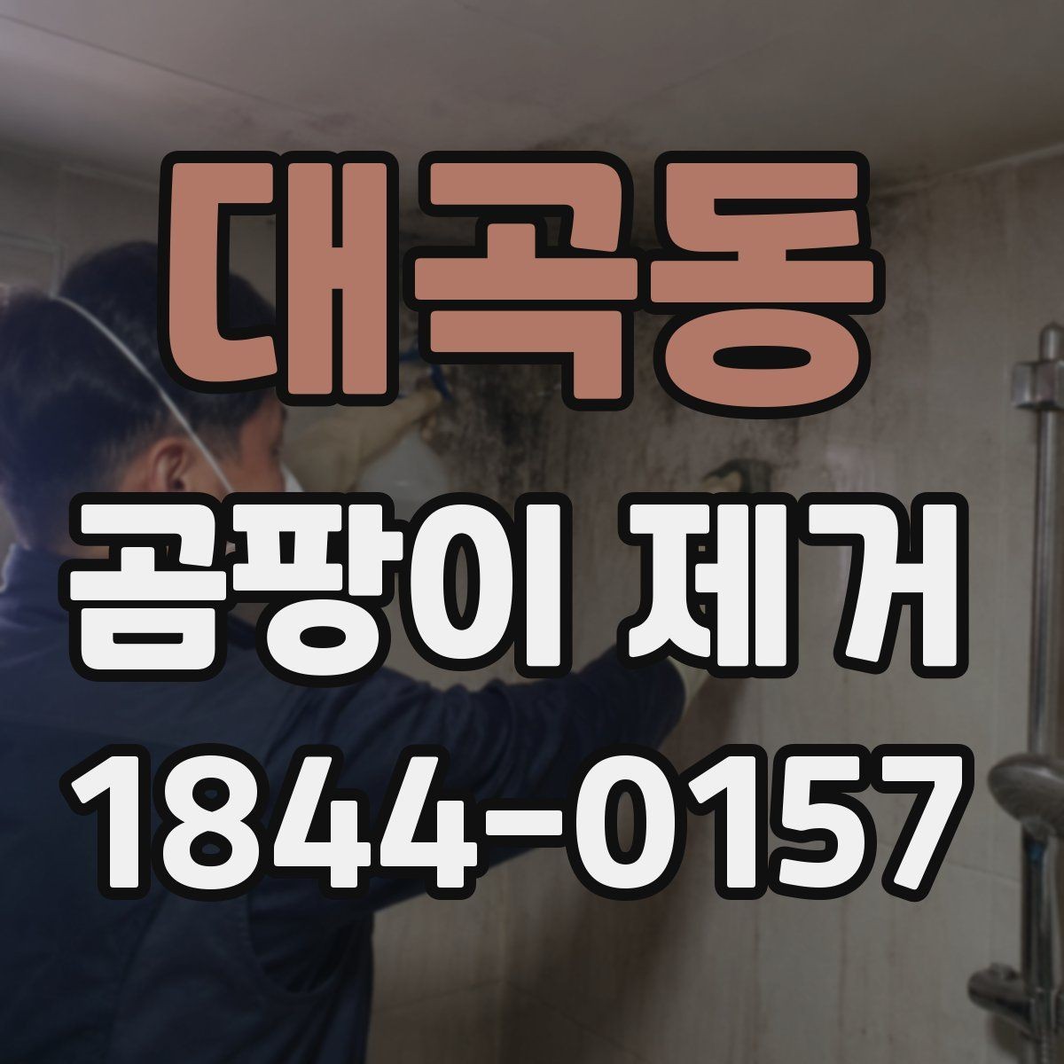 대곡동 곰팡이 제거 곰팡이 재발 원인 3가지