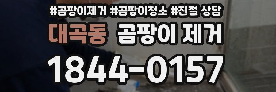 대곡동 곰팡이 제거