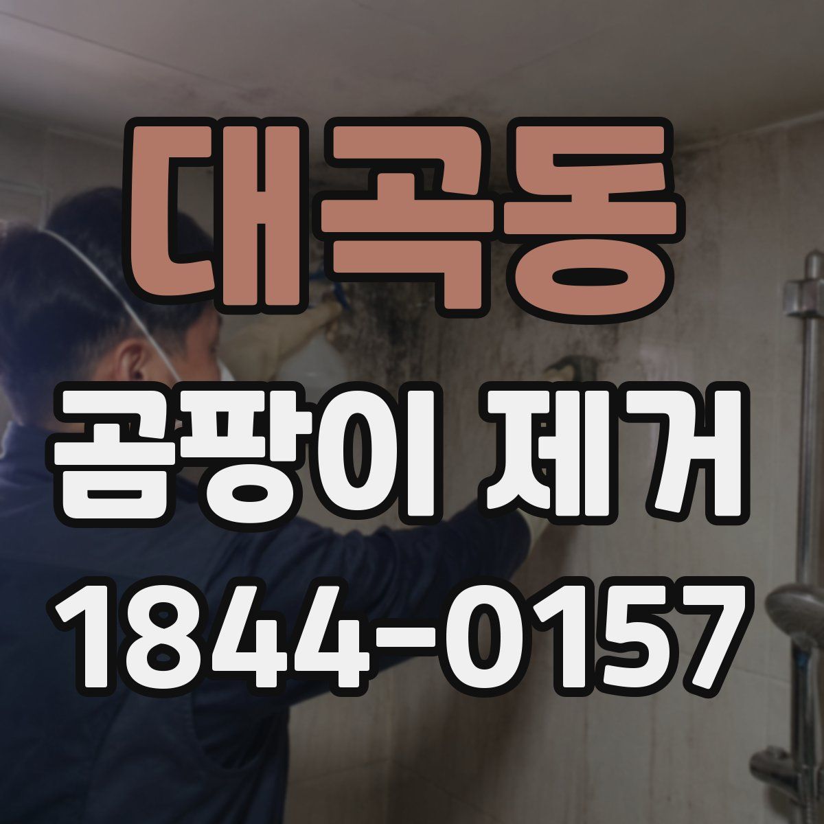대곡동 곰팡이 제거