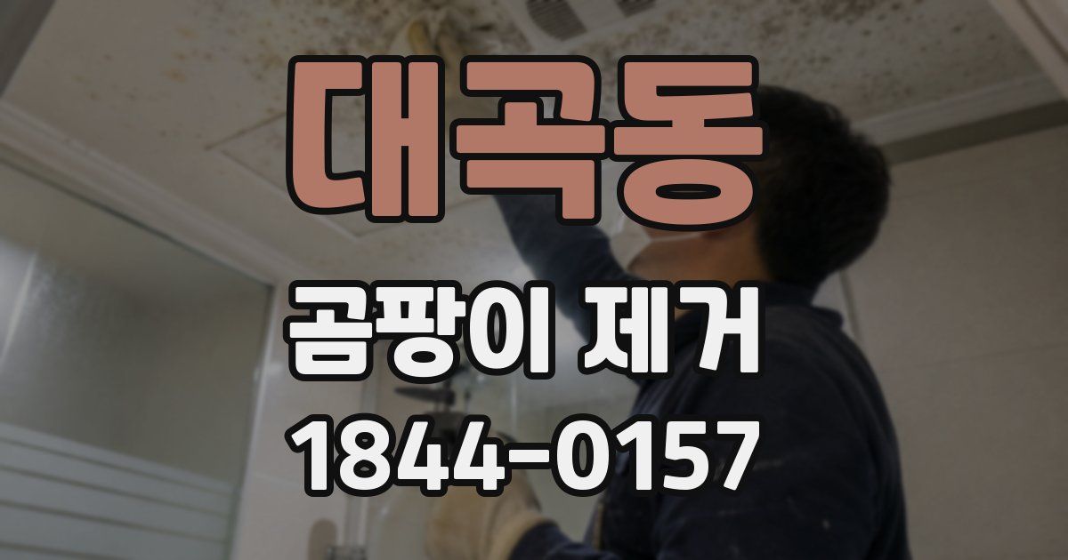 대곡동 곰팡이 제거