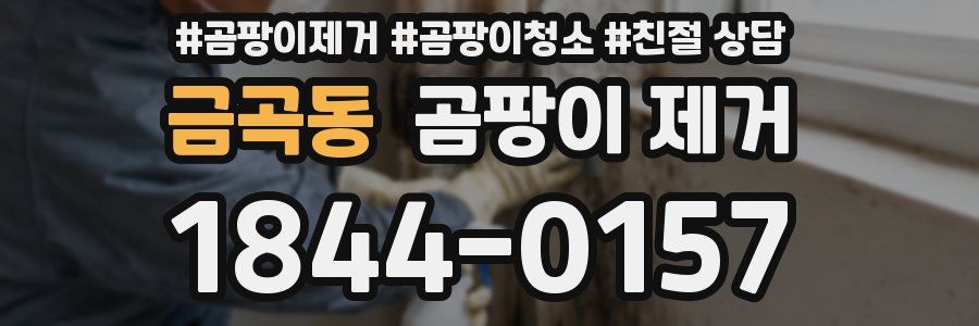 금곡동 곰팡이 제거