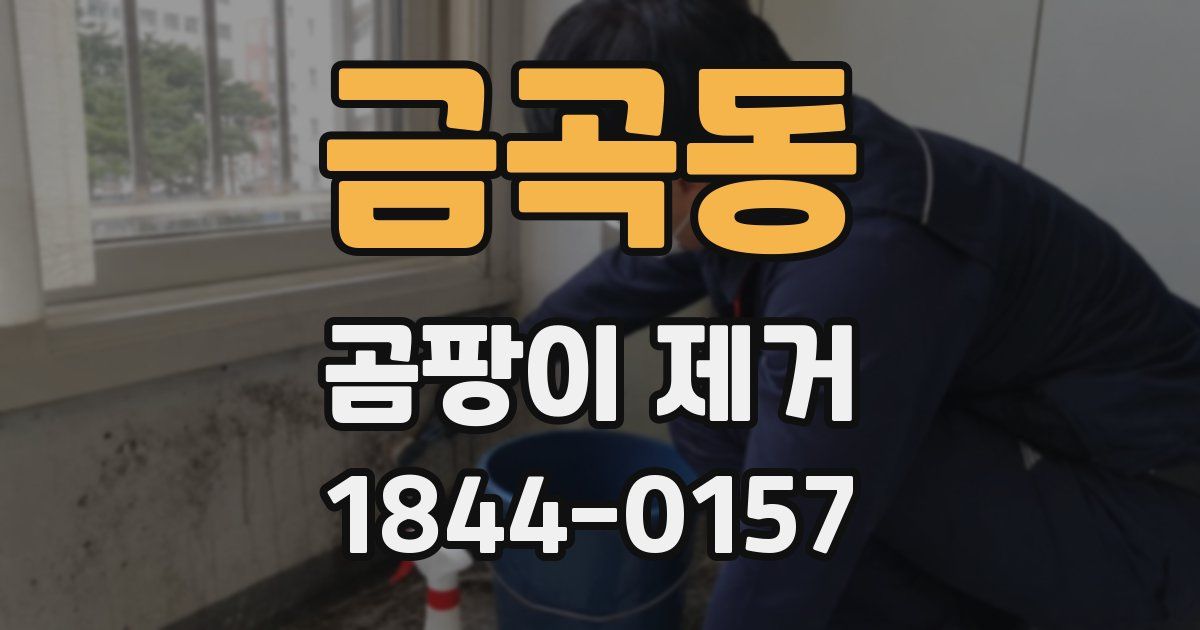 금곡동 곰팡이 제거