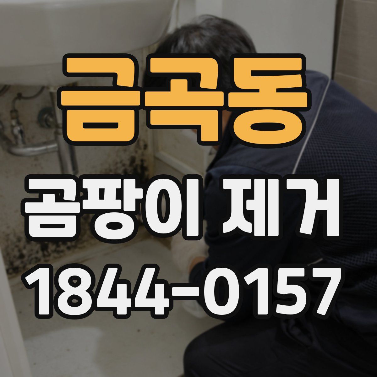 금곡동 곰팡이 제거