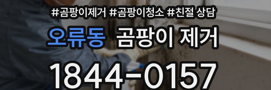 오류동 곰팡이 제거
